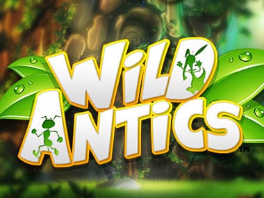 Wild ANTics