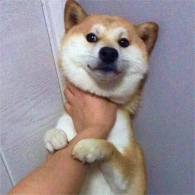 Hamza Shehbaz avatar