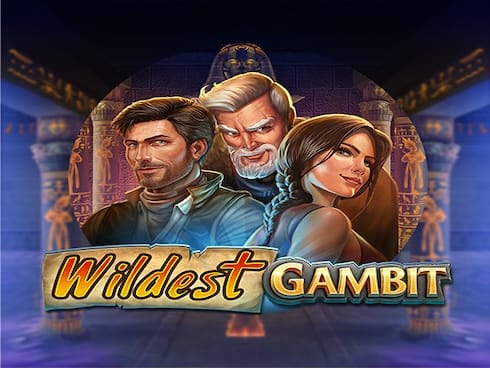 وائلڈیسٹ گیمبٹ game thumbnail